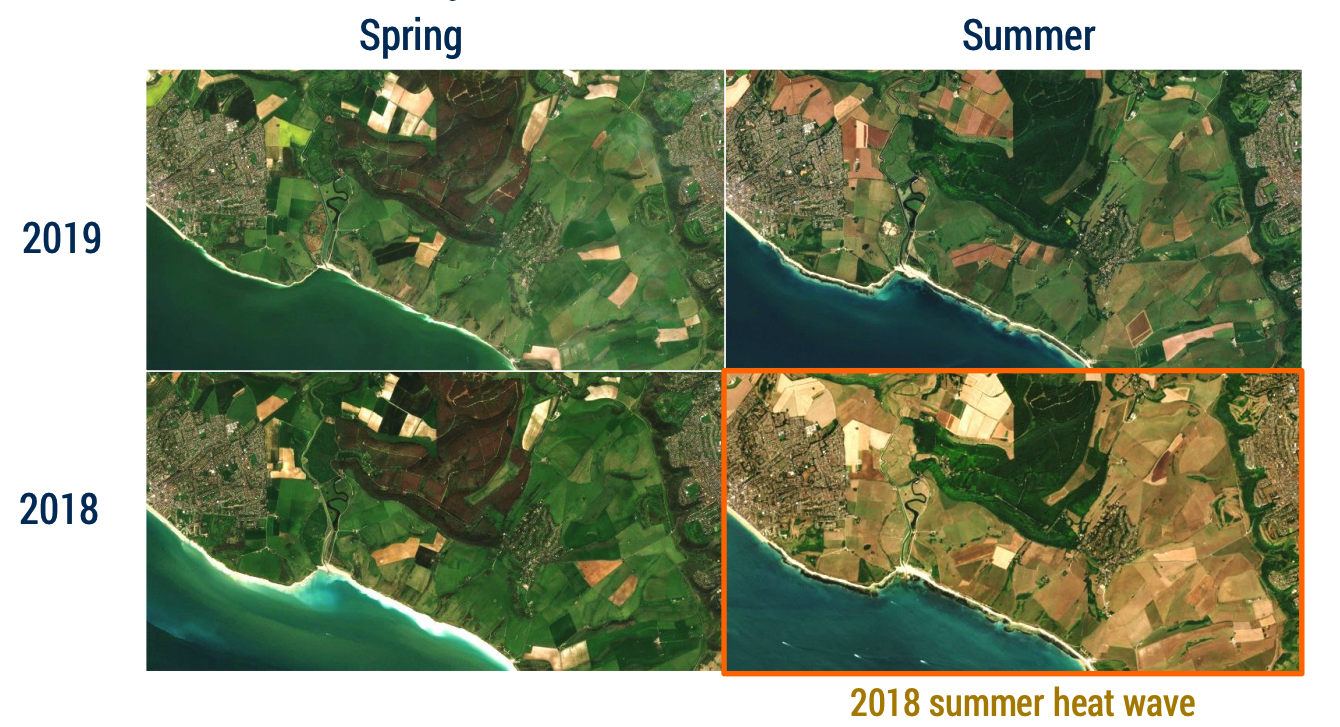 The 2018 summer heat wave impacted quite heterogenously on fields close to a river or depending on slope over the UK.